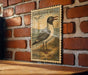 A framed illustration of a laughing gull is displayed on a brick wall, with a wooden table below it.