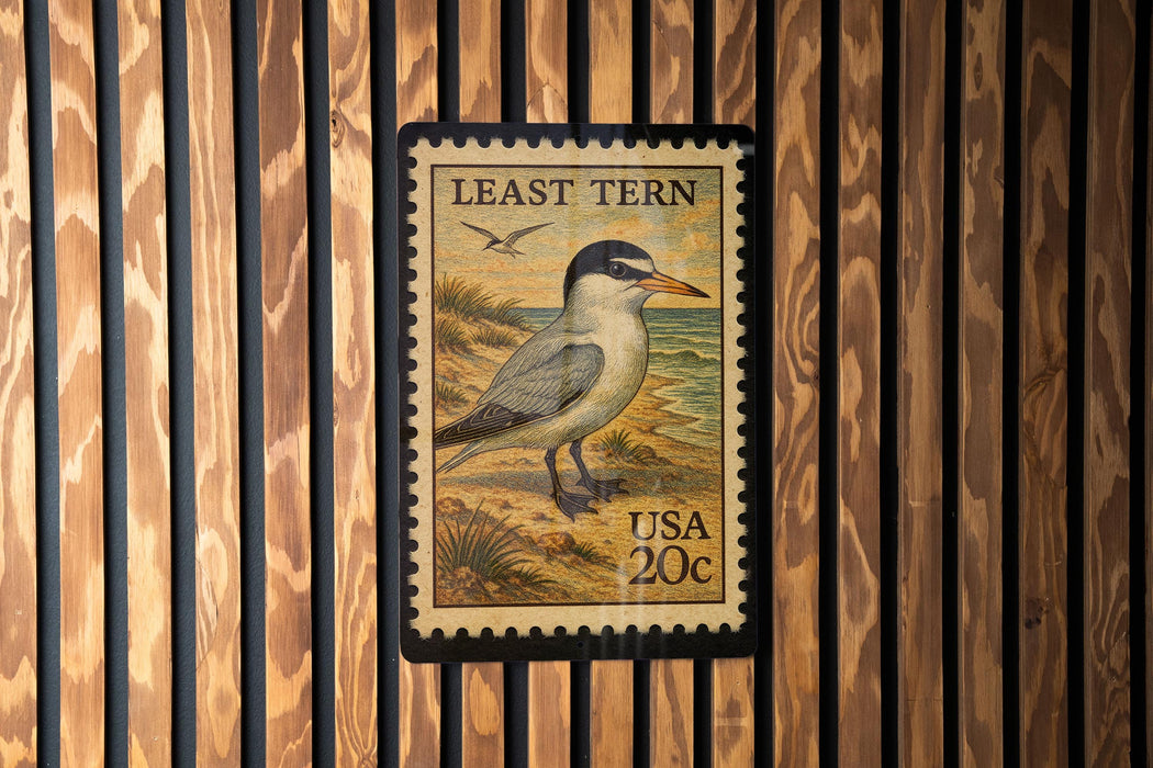 A framed postage stamp featuring a bird, likely a least tern, on a wooden background.