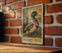 A framed illustration of a Mallard duck is displayed on a brick wall.