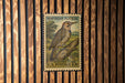 A U.S. postage stamp featuring a woodpecker perched on a tree branch.