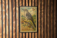 A postage stamp featuring a bird, likely a Northern Mockingbird, is displayed on a wooden background.