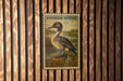 A vintage postage stamp featuring a duck is displayed on a wooden wall.
