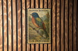 A vintage U.S. postage stamp featuring a colorful painted bird perched on a branch, mounted on a wooden wall.