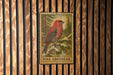 A vintage-style postage stamp featuring a red bird, likely a pine grouse, perched on a branch against a snowy background.