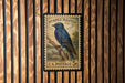 A vintage U.S. postage stamp featuring a blue bird perched on a branch, mounted on a wooden wall.