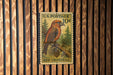 A U.S. postage stamp featuring a red bird perched on a pine tree branch, with the text "U.S. POSTAGE 10¢" and "RED CROSSBILL" printed on it.