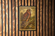 A framed image of a red-shoed hawk is displayed on a wooden wall.