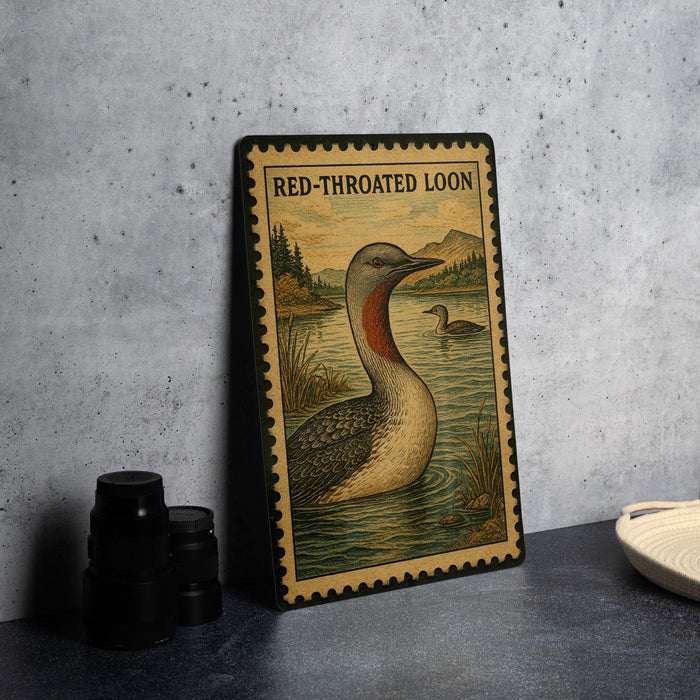 A framed illustration of a red-throated looon, a type of bird, is displayed on a wall next to a stack of black camera lenses.