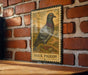A vintage-style metal stamp depicting a rock pigeon is mounted on a brick wall.