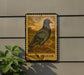a vintage-style stamp or sign depicting a rock pigeon, with the text "ROCK PIGEON" below the illustration.
