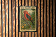A U.S. postage stamp featuring a red bird, specifically a red-headed tanager, perched on a branch.