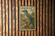 A postage stamp featuring a blue and green bird perched on a branch, with the text "SCRUB JAY 20c" printed on it.