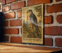 A framed image of a sharp-shinned hawk is displayed on a brick wall, with a wooden table below it.