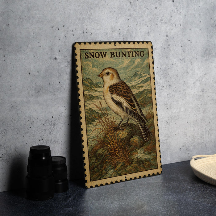 A framed illustration of a snow bunt bird is displayed on a wall, with a stack of black camera lenses and a white dish visible to the side.