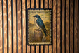 A framed illustration of a blue bird perched on a tree stump, with the text "TREE SWALLOW" on the frame.