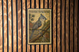 A postage stamp featuring a bird, specifically a Tufted Titmouse, perched on a branch.