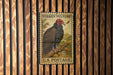 A vintage U.S. postage stamp featuring a turkey vulture perched on a branch, mounted on a wooden wall.