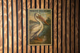 A vintage-style postage stamp featuring a pelican is displayed on a wooden wall.