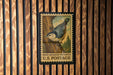 A U.S. postage stamp featuring a white-breasted nuthatch perched on a tree branch.