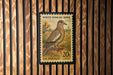 A U.S. postage stamp featuring a white-winged dove, with a wooden fence in the background.