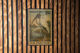 A U.S. postage stamp featuring a wood stork is displayed on a wooden wall.