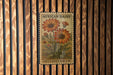 a vintage-style stamp or postcard with an illustration of African daisies, hanging on a wooden wall.