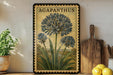 A framed illustration of a blue flower, likely an Agapanthus, is displayed on a shelf next to a wooden cutting board and a potted plant.