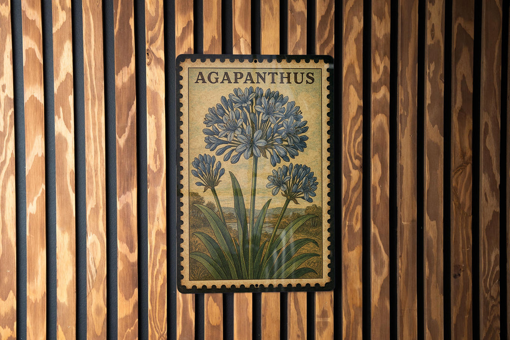A framed illustration of a blue flower, labeled "AGAPANTHUS", is displayed on a wooden wall.