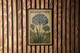 A framed illustration of a blue flower, labeled "AGAPANTHUS", is displayed on a wooden wall.
