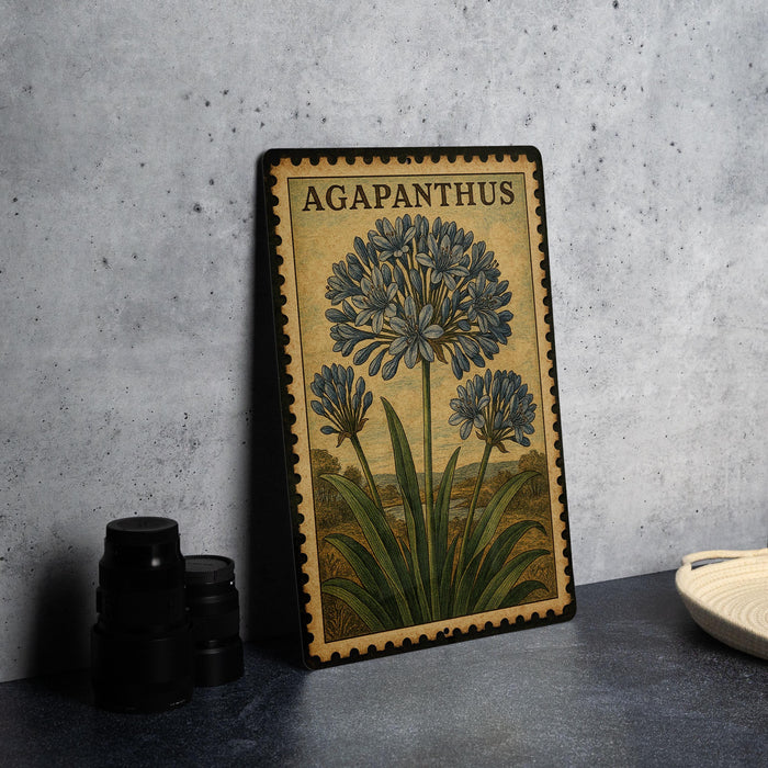 A framed botanical illustration of a flower labeled "AGAPANTHUS" is displayed on a dark surface, accompanied by a stack of black camera lenses and a white dish.