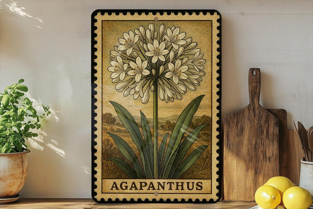 A framed illustration of a flower labeled "AGAPANTHUS" is displayed on a shelf next to a wooden cutting board and a potted plant.