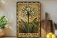 A framed illustration of a flower labeled "AGAPANTHUS" is displayed on a shelf next to a wooden cutting board and a potted plant.
