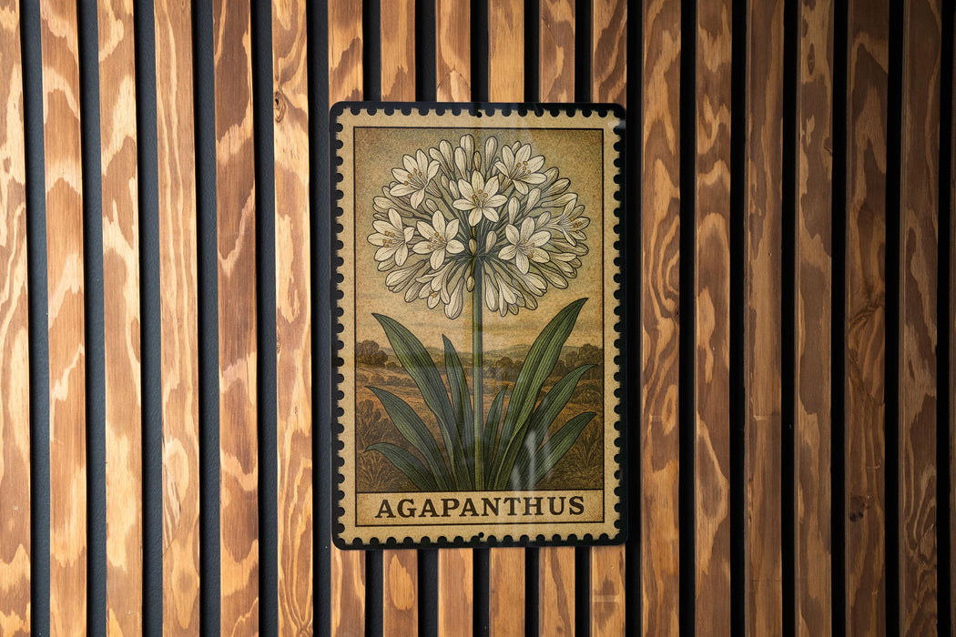 A framed illustration of a flower, specifically an Agapanthus, is displayed on a wooden wall.
