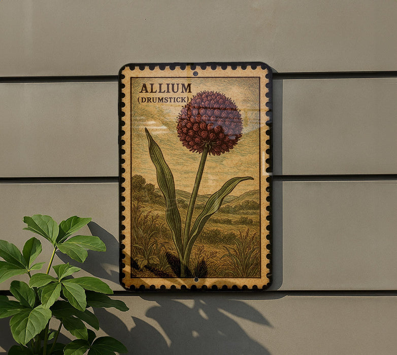 a framed illustration of a large purple flower, which appears to be an Allium (Drumsick) plant. The plant is depicted in a detailed and realistic manner, with the flower's large petals and green stem clearly visible. The frame is mounted on a wall, and there is a plant visible to the left of the frame.