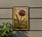 a framed illustration of a large purple flower, which appears to be an Allium (Drumsick) plant. The plant is depicted in a detailed and realistic manner, with the flower's large petals and green stem clearly visible. The frame is mounted on a wall, and there is a plant visible to the left of the frame.