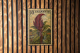 A 10 amaranth postage stamp is displayed on a wooden wall.