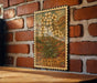 A framed illustration of a flower on a brick wall, with the text "Arabis Rock Cress" below it.