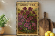 a framed illustration of a flower with the word "AUBRIETA" on it, placed on a shelf next to a wooden cutting board and a potted plant.