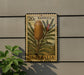 a 20c Australian postage stamp with a picture of a flower on it, mounted on a wall next to a plant.