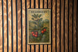 A vintage-style postage stamp featuring a plant with red berries, hanging on a wooden wall.