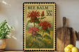 A framed vintage stamp depicting a red flower with green leaves, placed on a shelf next to a wooden cutting board and a potted plant.
