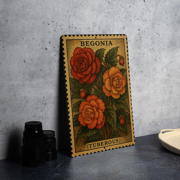A metal frame with a vintage-style illustration of red and orange flowers, labeled "Begonia (Tuberous)" on the front.