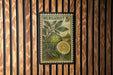 A vintage postage stamp featuring a lemon and a plant, with the text "BERGAMOT 5c" printed on it.