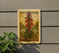 A U.S. postage stamp featuring a red cardinal flower is displayed on a wall, with a plant visible to the left.