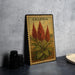 A metal plate with a vintage-style illustration of Celosia flowers, featuring a border and text, is displayed on a gray countertop next to a stack of black camera lenses.