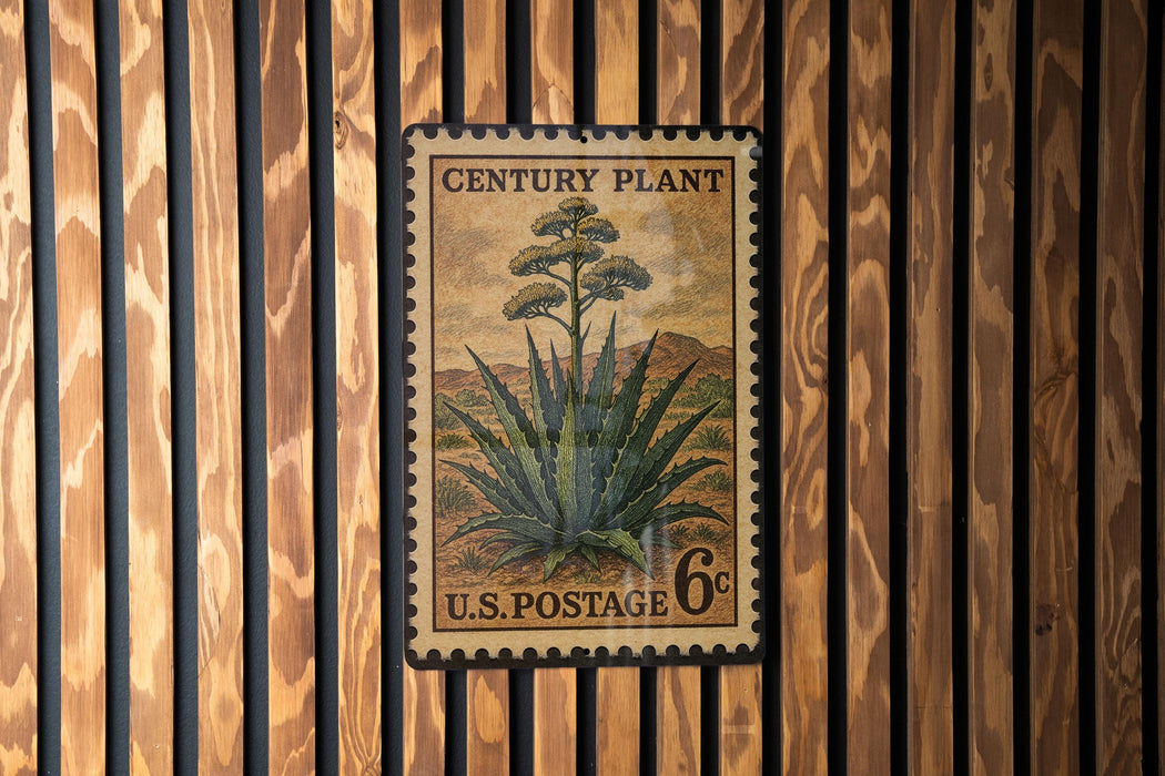 A U.S. postage stamp featuring an illustration of a cactus plant, mounted on a wooden wall.