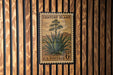 A U.S. postage stamp featuring an illustration of a cactus plant, mounted on a wooden wall.