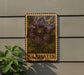 A framed image of a purple clematis flower is displayed on a wall, with a plant visible to the left.
