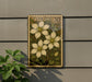 A framed botanical illustration of Clematis flowers is displayed on a wall, with a plant visible to the left.