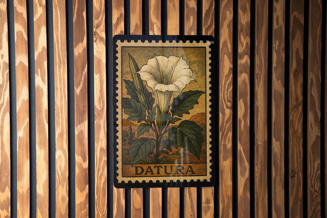 A framed image of a white flower with green leaves, mounted on a wooden wall.